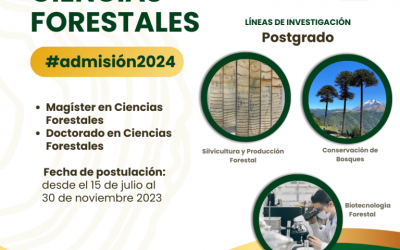 Postulaciones Magíster y Doctorado en Ciencias Forestales