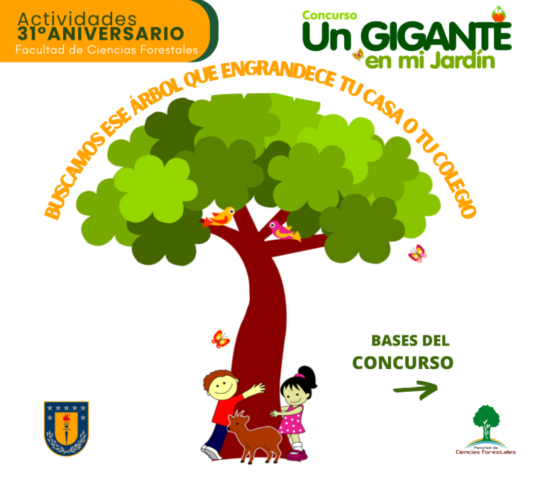Concurso: Un Gigante en mi Jardín
