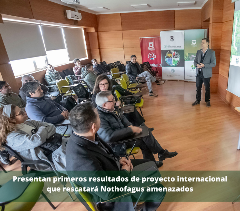 Presentan primeros resultados de proyecto internacional que rescatará Nothofagus amenazados