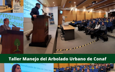 Taller Manejo del Arbolado Urbano de Conaf