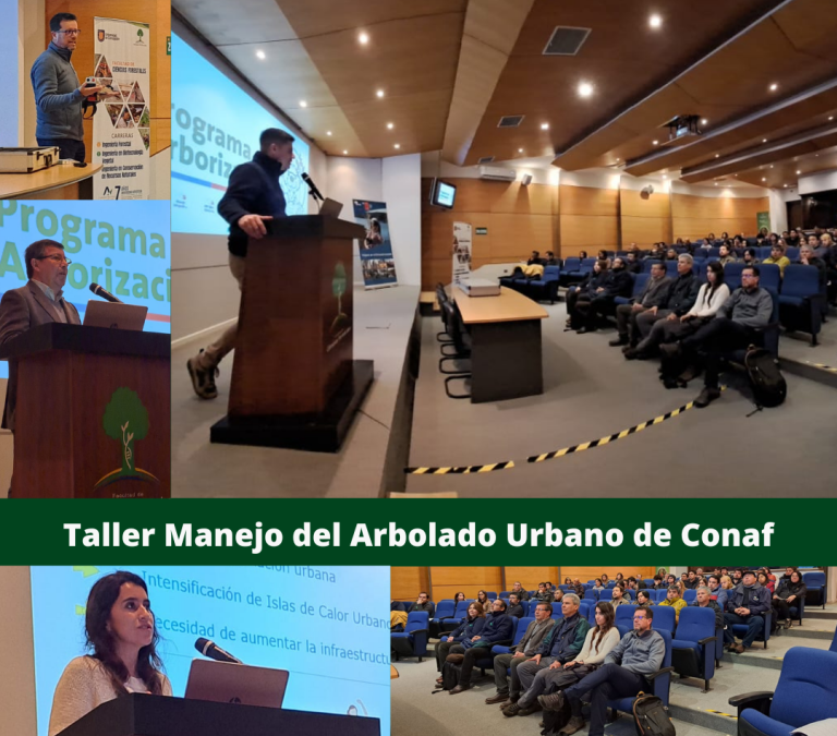Taller Manejo del Arbolado Urbano de Conaf
