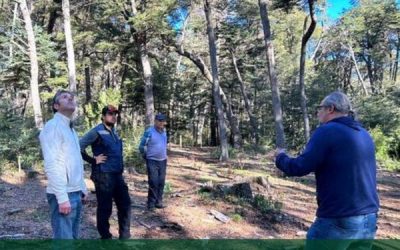 Reunión del equipo Reserva de la Biosfera Corredor Biológico Nevados de Chillán – Laguna del Laja
