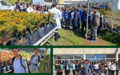 Estudiantes de primer y segundo año del Liceo Bicentenario de Excelencia Polivalente San Nicolás visitaron la Facultad de Ciencias Forestales con el fin de conocer las tres carreras y ver de cerca el trabajo de investigación de los laboratorios de Patología Forestal, Entomología, Madera y el Vivero. La bienvenida se las dio la profesora Tamara Gorena, quien realizó una charla de acercamiento a la vida universitaria.