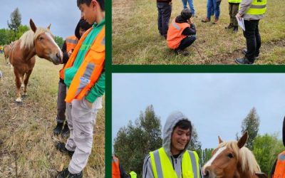 Estudiantes de primer año de Ingeniería Forestal culminaron Módulo Control de Malezas