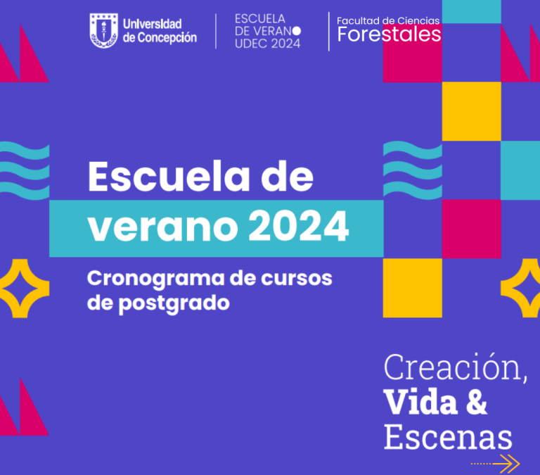 Invitamos a profesionales y estudiantes de Postgrado de la UdeC a participar en la nueva edición formativa de la Escuela de Verano 2024 de la Universidad de Concepción.