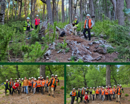 Estudiantes de Ingeniería Forestal UdeC comenzaron su "Práctico 4"