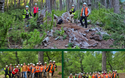 Estudiantes de Ingeniería Forestal UdeC comenzaron su “Práctico 4”