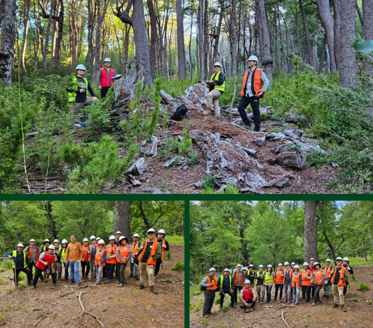 Estudiantes de Ingeniería Forestal UdeC comenzaron su “Práctico 4”