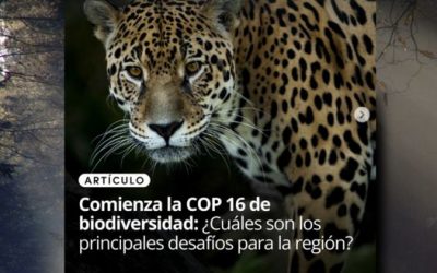 Con motivo de COP16, Ladera Sur entrevistó a profesor Pauchard y Hasbún