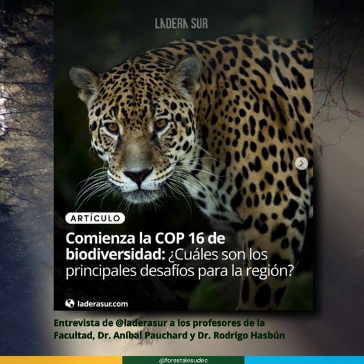 Con motivo de COP16, Ladera Sur entrevistó a profesor Pauchard y Hasbún