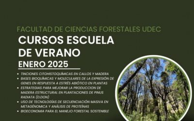 Cursos Escuela de verano 2025, para estudiantes de Postgrado UdeC y Externos. Más informaciones en Instagram @forestalesudeC