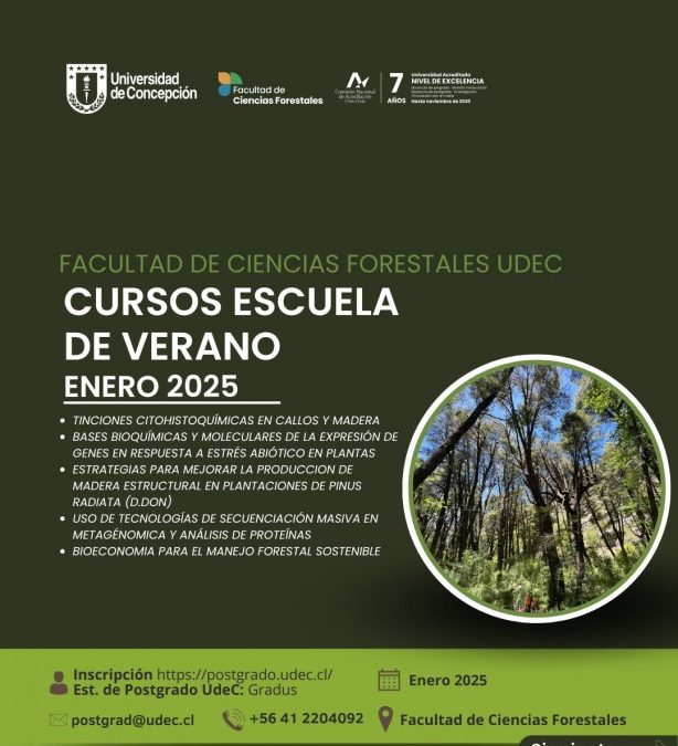 Cursos Escuela de verano 2025, para estudiantes de Postgrado UdeC y Externos. Más informaciones en Instagram @forestalesudeC